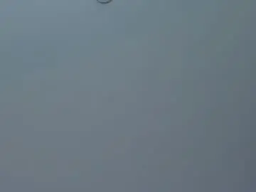 Chaturbate Adult Webcam of miamontoya