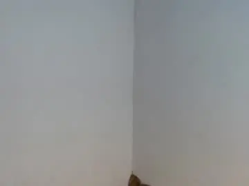 Chaturbate Sex Cam of isabell2207