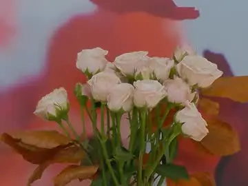 Chaturbate Free Live Porn of olivia_osuna