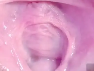 Chaturbate Live Porn of orchidekitty