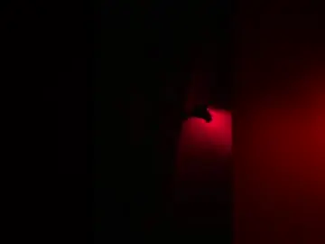 Chaturbate Best live sex cam show of melodysnow