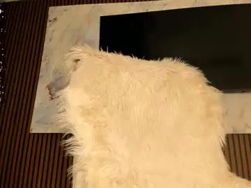 Chaturbate Sex Cam of blackmilk_01