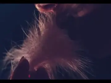 Chaturbate Free Live Porn of taanni_bc