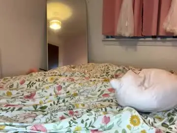 Chaturbate Adult Webcam of cheekykatx