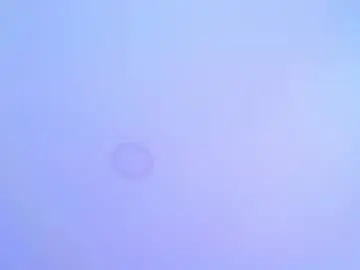 Chaturbate Watch Live Sex Cams of nebus_lak