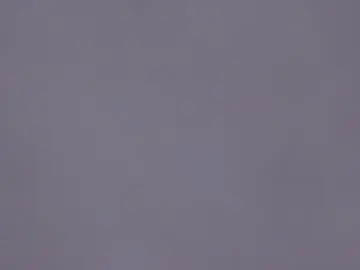 Chaturbate Private Sex Chat of _lyna