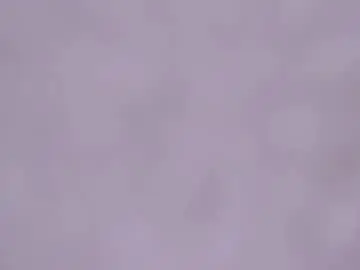 Chaturbate Adult Webcam of _lyna