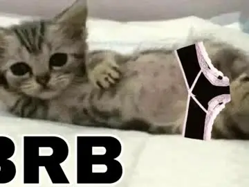 Chaturbate Free Live Porn of _meowmiko__