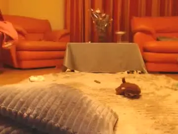 Chaturbate Adult Video Chat of andrasweetie