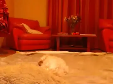 Chaturbate Best Webcam of andrasweetie