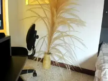 Chaturbate Live Sex of alid_17
