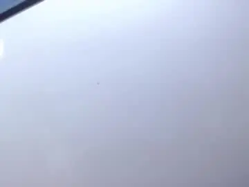 Chaturbate Adult Webcam of megan__monroe_