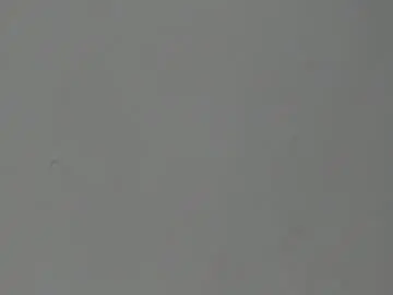 Chaturbate Adult Webcam of thenewclass