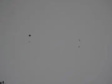 Chaturbate Best Webcam of andy_weld