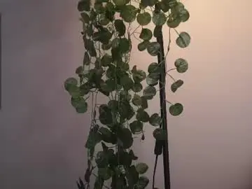 Chaturbate Private Sex Chat of forestproject