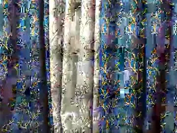 Chaturbate Adult Webcam of love_riva