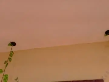 Chaturbate Free Live Porn of liam_mercurio