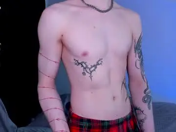 Chaturbate Nude Webcam of alex_silent