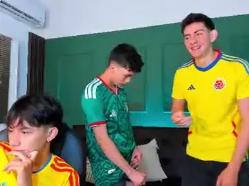 Chaturbate Live Porn of party_guyssex