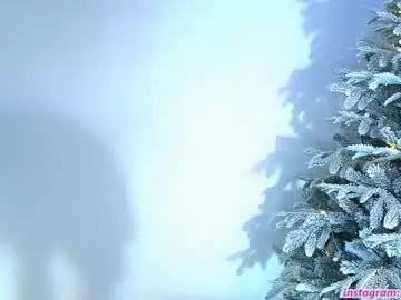 Chaturbate Adult Video Chat of litlle_flowers