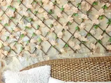 Chaturbate Adult Webcam of joeymiills