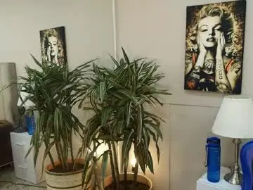 Chaturbate Best Webcam of kai_storn