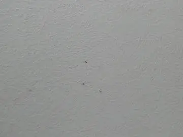 Chaturbate Watch Live Sex Cams of klaret_toy