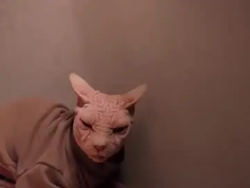 Chaturbate Best live sex cam show of esthetics_boys