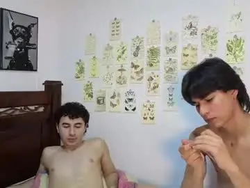 Chaturbate Nude Webcam of patri_ck_villa