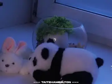 Chaturbate Adult Video Chat of taitehambelton