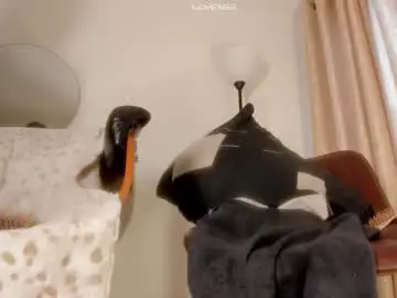 Chaturbate Live Sex Cam of isabelsexysmile_