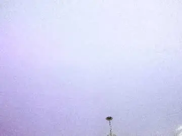 Chaturbate Best Webcam of alinasimmons