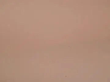 Chaturbate Best Webcam of sweetyoops