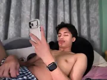 Chaturbate Nude Webcam of twink_hairyass69