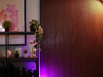 Chaturbate Adult Webcam of ravennadarcy