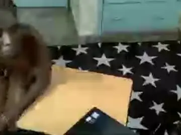 Chaturbate Best live sex cam show of petitekittyy