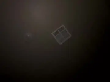 Chaturbate Live Sex Cam of spoilprincesschloee