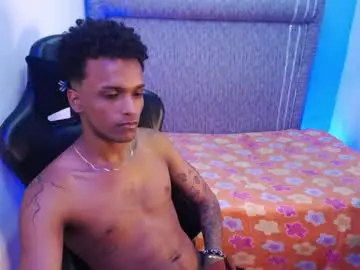 Chaturbate Nude Webcam of theo_088_