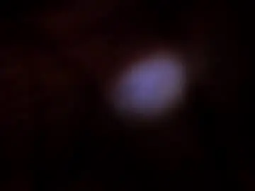 Chaturbate Adult Webcams of im_jean94xxx