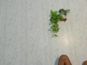 Chaturbate Adult Video Chat of boys_hotparty