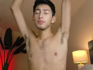 Chaturbate Sex Cam of ethan_skiny_