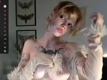 Chaturbate Adult Webcam of little_anitta