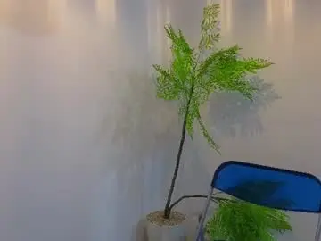 Chaturbate Sex Cam of you_dream_