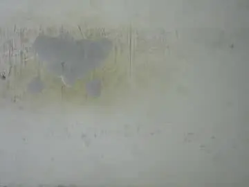 Chaturbate Best live sex cam show of cherry_kissxx