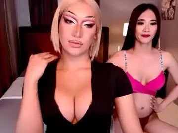 Chaturbate Sex Cam of bitch_destroyer