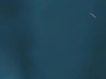 Chaturbate Sex Chat of arohomlester