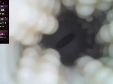 Chaturbate Watch Live Sex Cams of xoxowtf