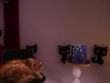 Chaturbate Adult Webcam of _meganmeow_