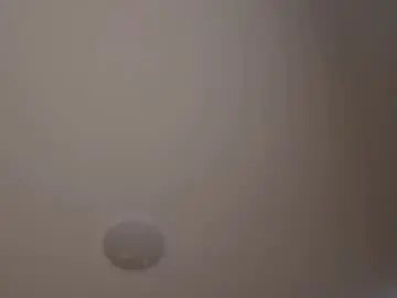 Chaturbate Free Live Porn of tasha_miu