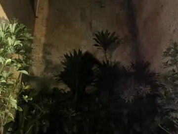 Chaturbate Private Sex Chat of maxim_walker